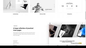 Ozark - Minimal Portfolio WordPress Theme freelancer personal studio Reina