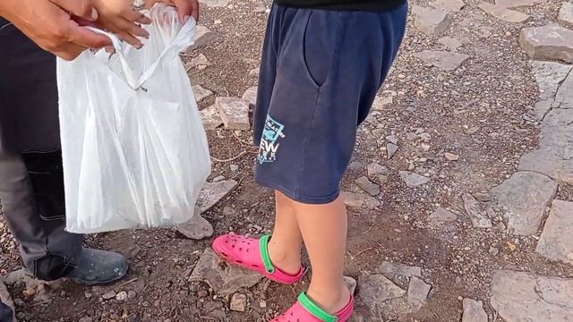 Енисей/ Красноярское море 2022 год/ отдых/ рыбалка/ набрали брусники смотреть онлайн