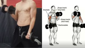 Тренировка рук, гантели, 6 упражнений