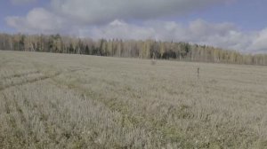 ЗЕРКАЛЬНЫЙ СКРАДОК ДЛЯ ОХОТЫ НА ГУСЯ . КАК РАБОТАЕТ НА СТЕРНЕ. СКРАДОК НА ГУСЯ СВОИМИ РУКАМИ.