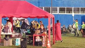 Питомники ч.2 / Моно немецких овчарок ранга ПК БРОННИЦЫ 10 августа 2024