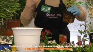 Онлайн мастер-класс начальной школы флористики GreenClass