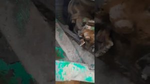 Оторвало Гст 90 на Комбайне Дон 1500б это жесть???