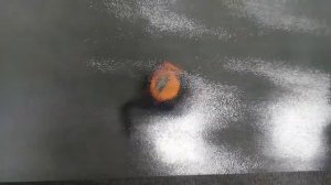 Стекло "Шиншилла бесцветное"