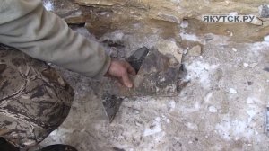 Останки трилобита уникальной сохранности найдены учеными на территории парка «Ленские столбы»