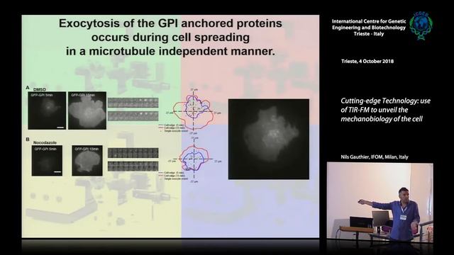 N. Gauthier - Cutting-edge Technology: use of TIR-FM to unveil the mechanobiology of the cell смотреть онлайн