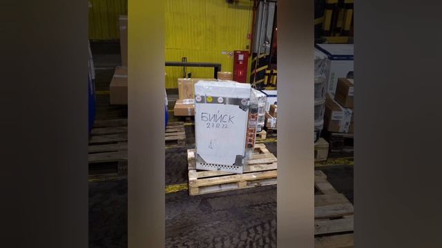 Настоящее "Москитовское Качество" копчения! Коптильня Москит 28.12.22 смотреть онлайн