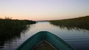 вторая рыбалка на озере лиман Куликовский Темрюкский район 15.08.2019