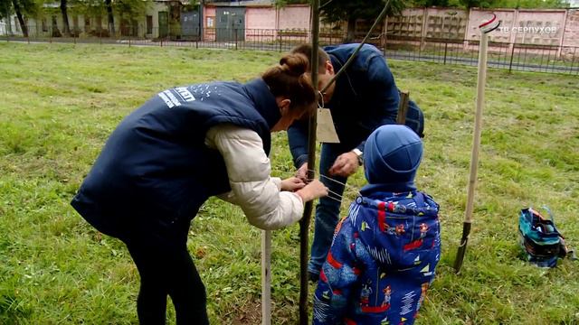 В Серпухове началась ежегодная акция Наш лес. Посади свое дерево