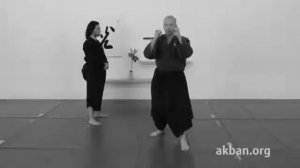 Kinteki sokushi geri, groin kick, basic   Ninjutsu technique for Akban wiki