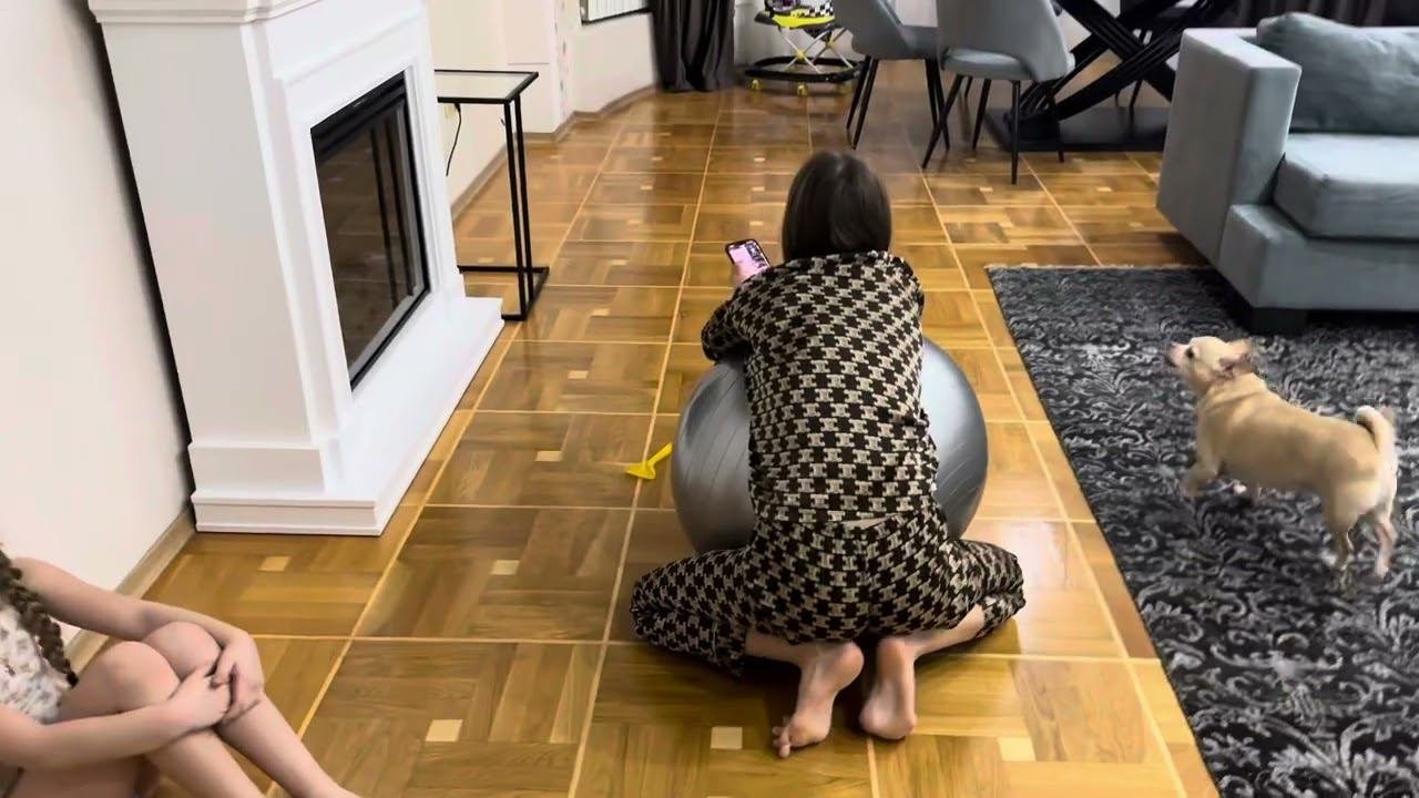 Мама купила шар для фитнеса. Его хватило на пол часа. Принц наша собака, лопнул шар. #семьяблогеров