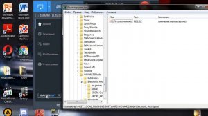 Что делать если не работает SPORE??? Ошибка 1004 & 2000