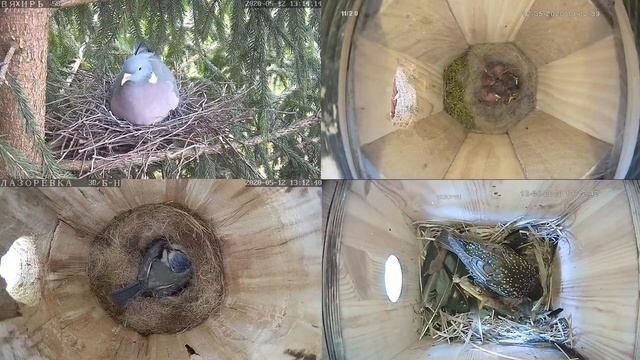 Онлайн-трансляция - 2020. 12.05.2020 г.. Город Калуга. смотреть онлайн