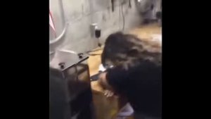 ЛУЧШИЕ ИСПУГИ ЛЮДЕЙ И ЖИВОТНЫХ! #22