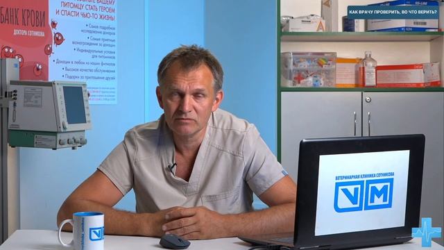 Как врачу проверить, во что верить?