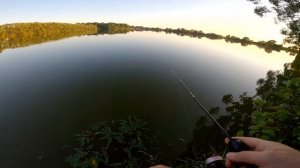 НАНОДЖИГ ЛОВИТ ВСЕ! Судак и окунь на деревенском пруду. Спиннинг Black Fly в деле.