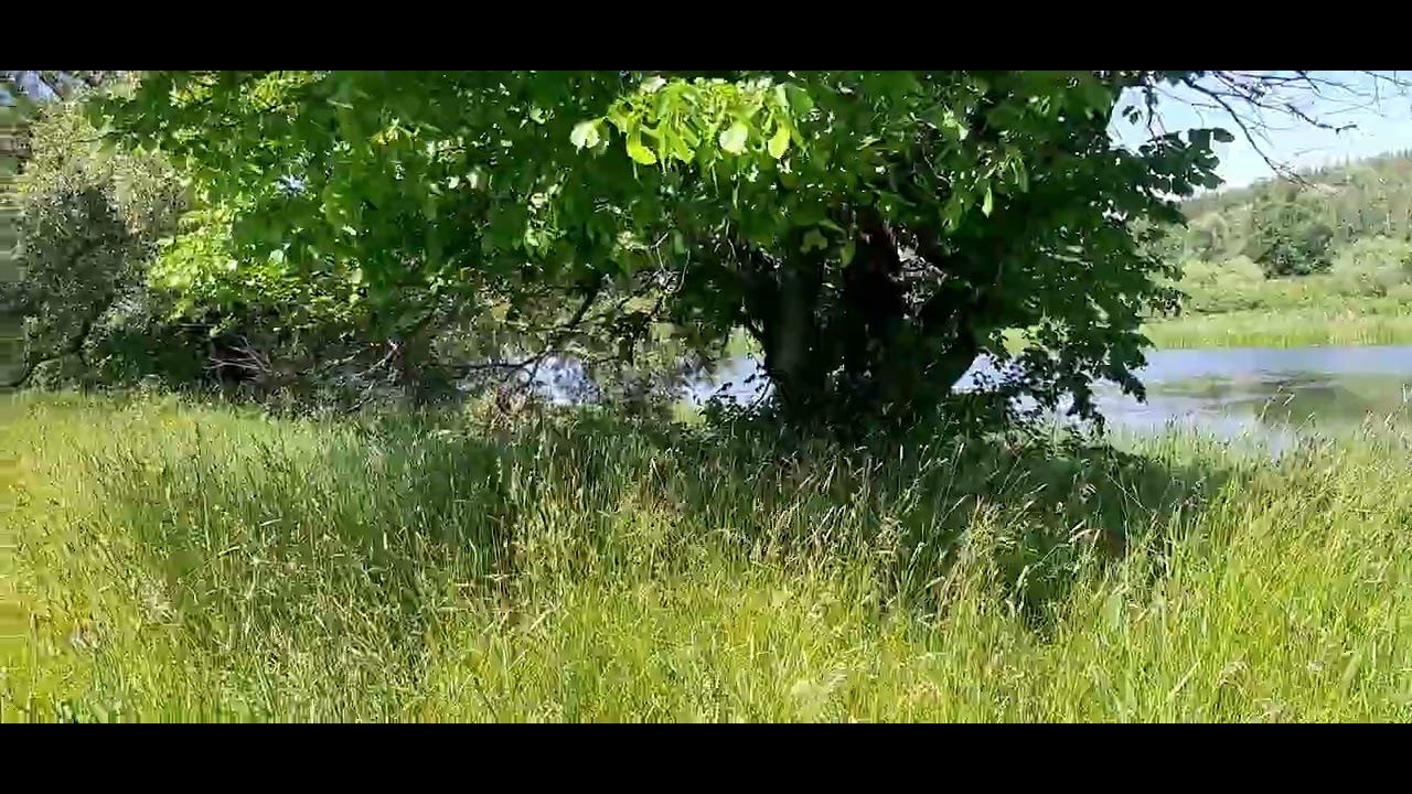 Вот это улов!!! Рыбалка на озере на червя!!! смотреть онлайн