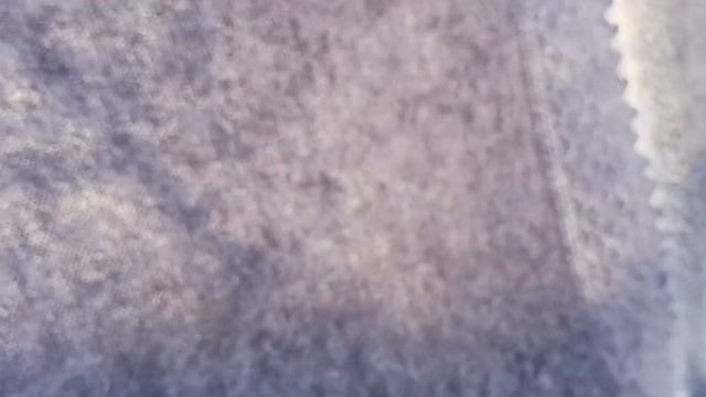 Светло-серые пуховые платки стандартного размера. смотреть онлайн