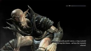 Skyrim with as many mods as my pc can handle