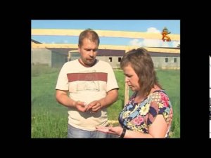 Улиточная ферма Сергея Балаева: заморский деликатес в Коломенском районе