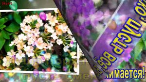 Поздравление с 52-летием! Новинка! Прекрасное Видео Поздравление! СУПЕР ПОЗДРАВЛЕНИЕ!