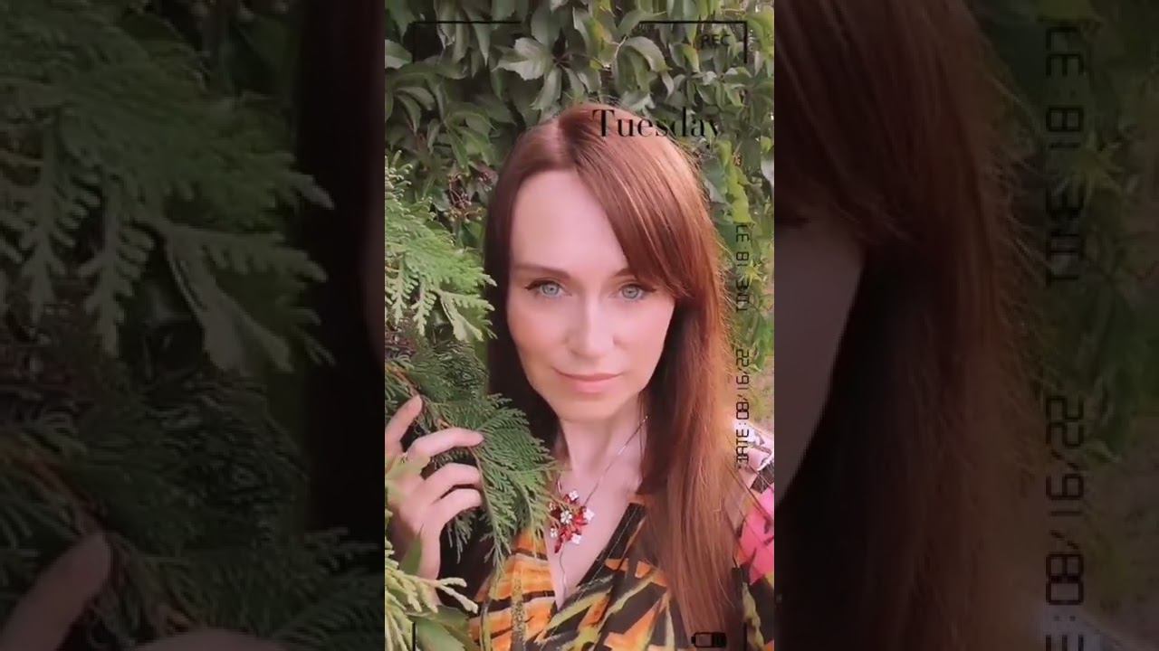  смотреть онлайн