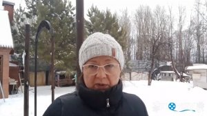 Расклев у кур (каннибализм у кур). Решение проблемы.