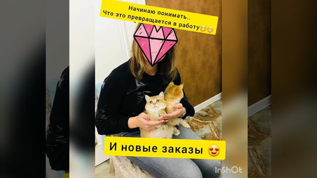 Работа или хобби?? смотреть онлайн