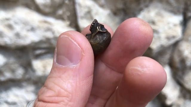 Бронзовый череп с руной Альгиз Рунный набор Комплект рун для гадания Руны на черепах с мешочком Рун