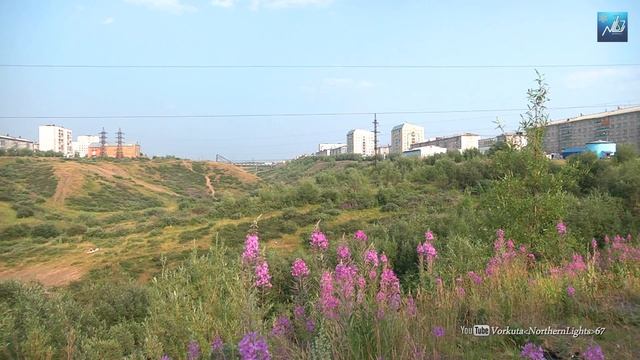 Лето в Воркуте смотреть онлайн