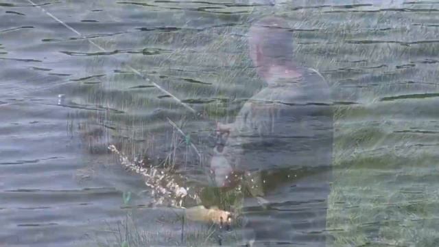 Рыбалкой болею песня о рыбалке заценят настоящие мужики рыбаки и девочки рыбачки смотреть онлайн