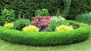 ?Сделать Сад Красивым Отличные Идеи для Воплощения /Original ideas for a beautiful garden/ A - Vide