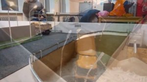 Радиоуправляемая строительная площадка