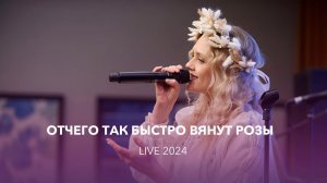 VАСИЛИСА | Отчего так быстро вянут розы (live 2024)