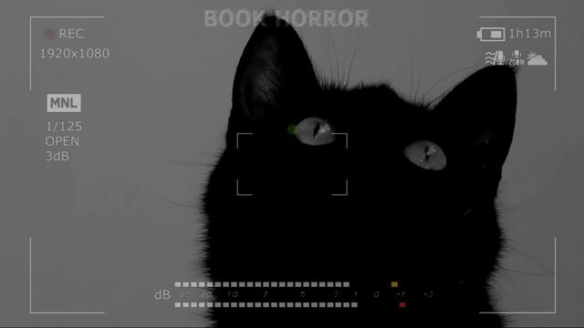 Коты и мистика. Семь интересных #фактов о кошках смотреть онлайн