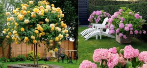 ?Цветы Прекрасное Украшение Сада Идеи для Вашего Вдохновения / Flowers garden decoration / A - Vide