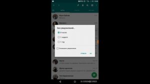 Ватсап   Режим не беспокоить