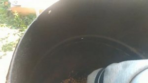 Хвост бобра горячего копчения