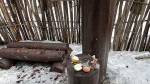 капище сварога в москве (битцевский лес)
