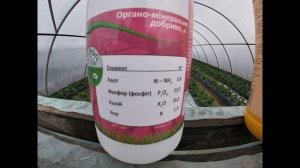 Фосфор для клубники