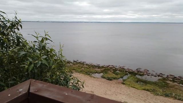 Орнитологическая вышка в Кронштадте смотреть онлайн