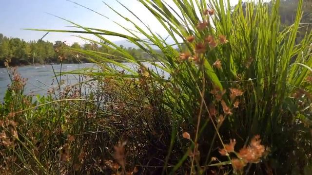 Хотите Угодить БОГУ, каждое Утро, каждый новый День начинайте с Этих Слов! Молитва Благодарения.. смотреть онлайн