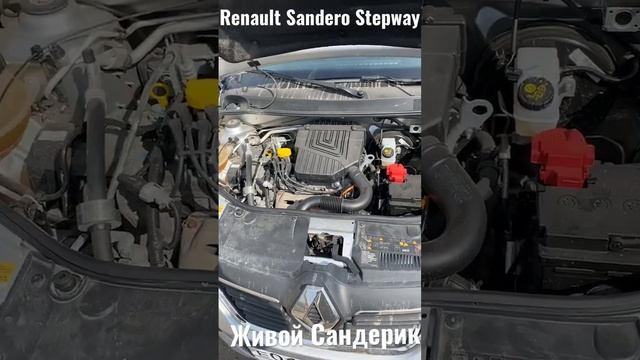 #автоподбор Renault Sandero Stepway 2019