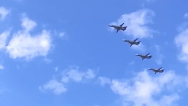 Щенки Вельш Корги Пемброк смотреть онлайн