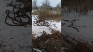 Как воруют на дачах милиоратор(1)