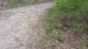 Как я вылечил крапивницу