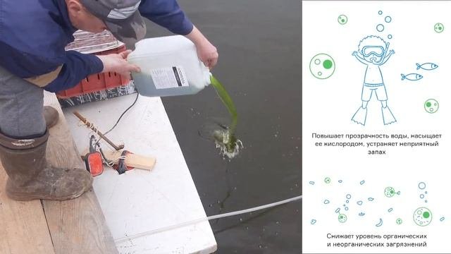 БОРЬБА С ЦВЕТЕНИЕМ ПРУДОВ ЗАЛИВАЕМ В ФОРЕЛЕВЫЙ ПРУД ХЛОРЕЛЛУ ИНКУБИРУЕМ ХЛОРЕЛЛУ В ДОМАШНИХ УСЛОВИЯ