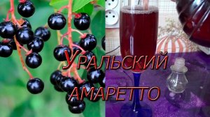 Уральский напиток из черемухи! Уральский амаретто!!!