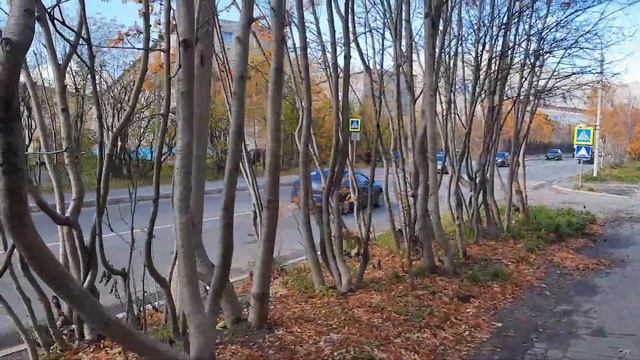 Кировск/Новая детская площадка/Гуляем)