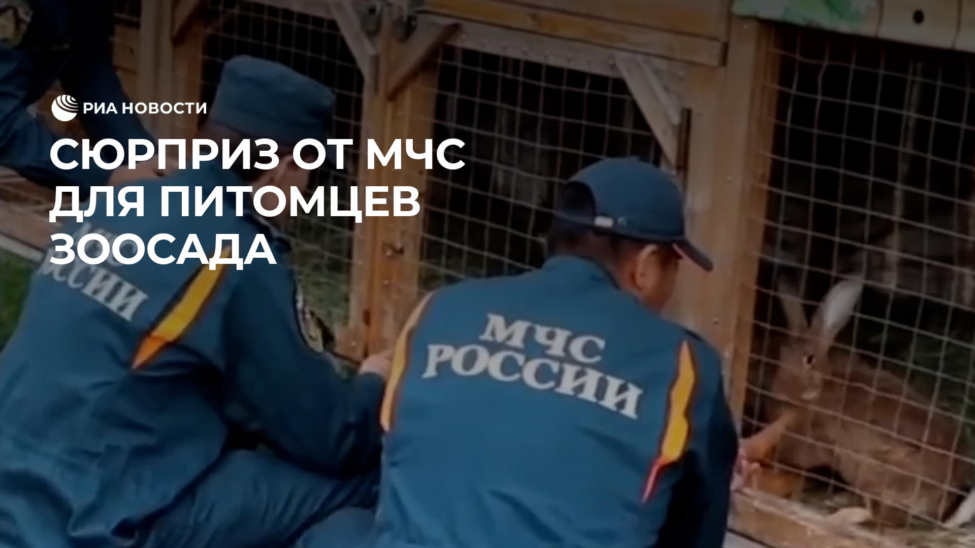 Сюрприз для зоосада от спасателей